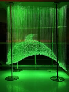 Fiber Optic Lights Dolphin Customization