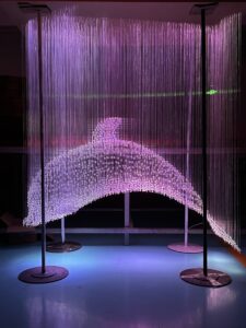 Fiber Optic Lights Dolphin Customization