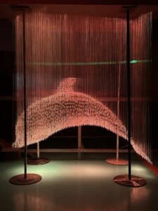 Fiber Optic Lights Dolphin Customization
