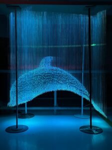 Fiber Optic Lights Dolphin Customization