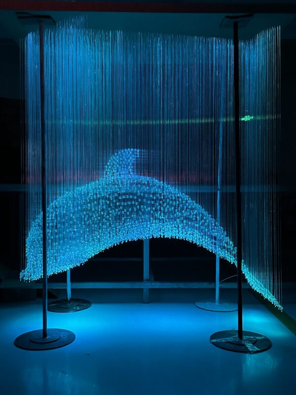 Fiber Optic Lights Dolphin Customization