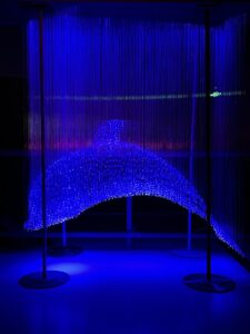Fiber Optic Lights Dolphin Customization