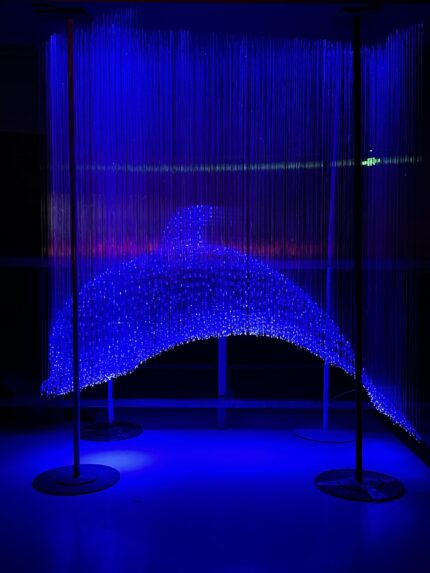 Fiber Optic Lights Dolphin Customization