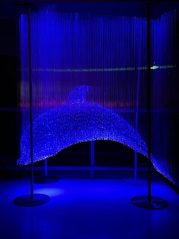 Fiber Optic Lights Dolphin Customization