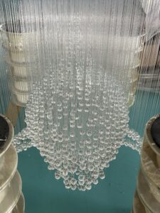 Fiber Optic Lights Dolphin Customization