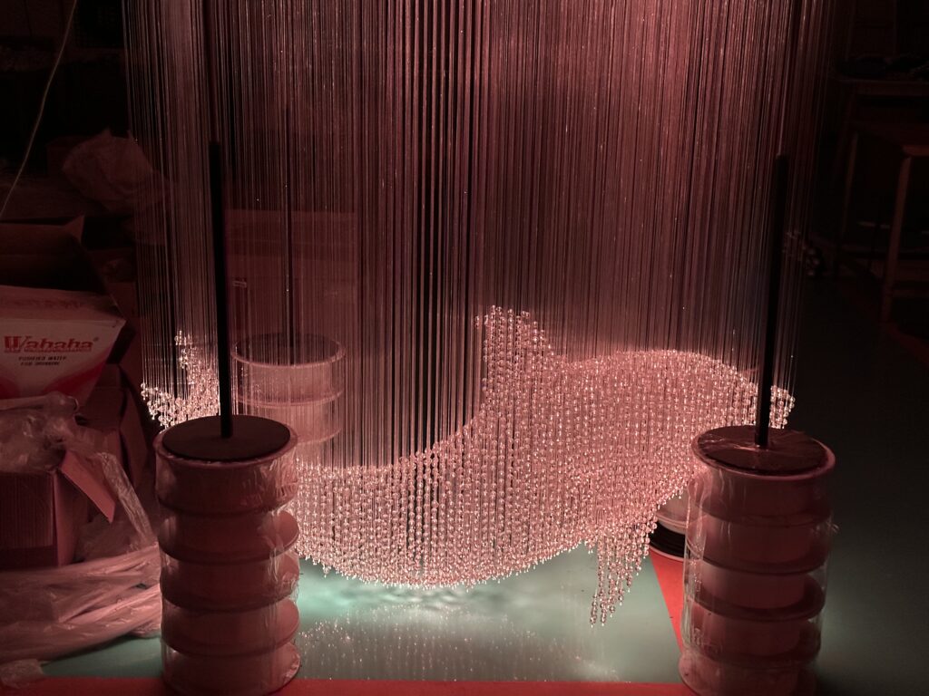 Fiber Optic Lights Dolphin Customization2