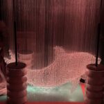 Fiber Optic Lights Dolphin Customization2