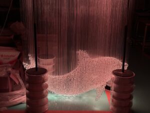 Fiber Optic Lights Dolphin Customization2