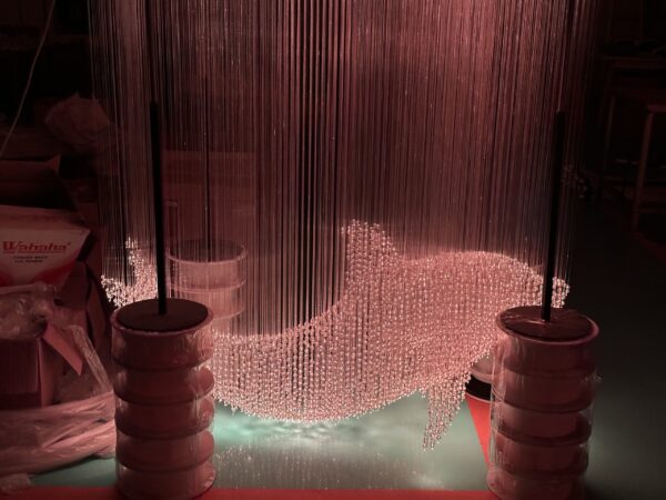 Fiber Optic Lights Dolphin Customization2
