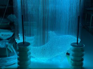 Fiber Optic Lights Dolphin Customization2