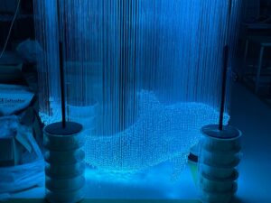 Fiber Optic Lights Dolphin Customization2