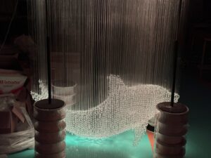 Fiber Optic Lights Dolphin Customization2