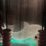 正方形海豚2