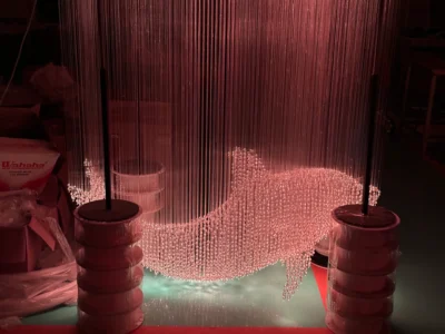 Fiber Optic Lights Dolphin Customization2