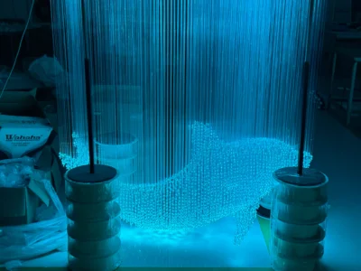 Fiber Optic Lights Dolphin Customization2