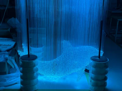 Fiber Optic Lights Dolphin Customization2